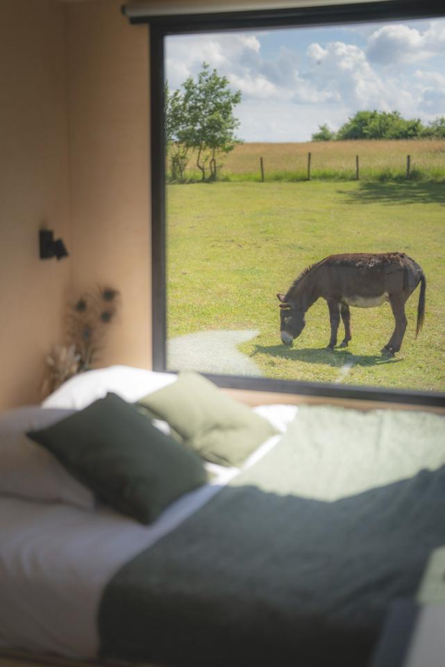 Hôte GreenGo: Parcel Tiny House - près des animaux dans le Jura - Image 4