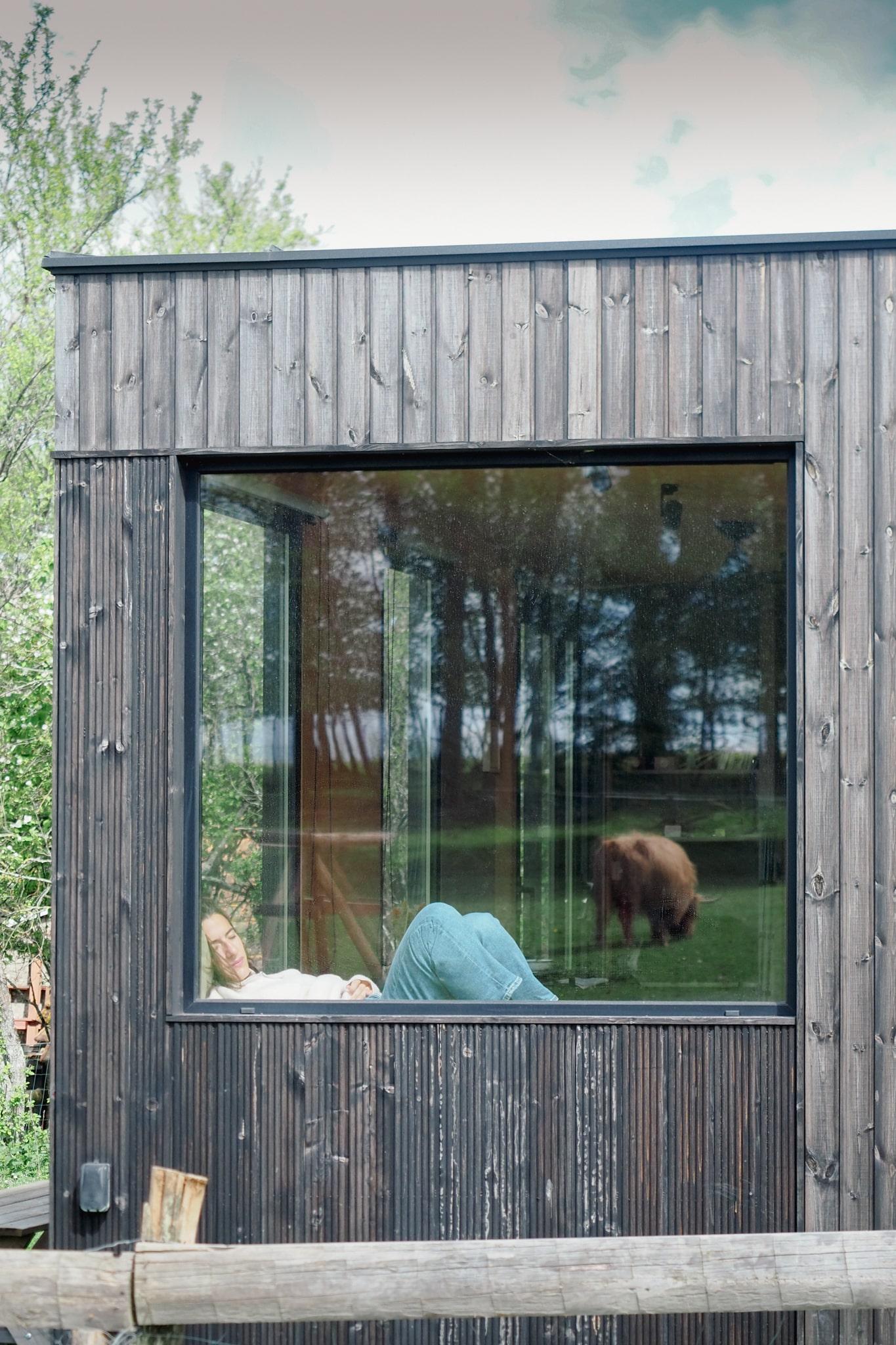 Hôte GreenGo: Parcel Tiny House - près des animaux dans le Jura - Image 13