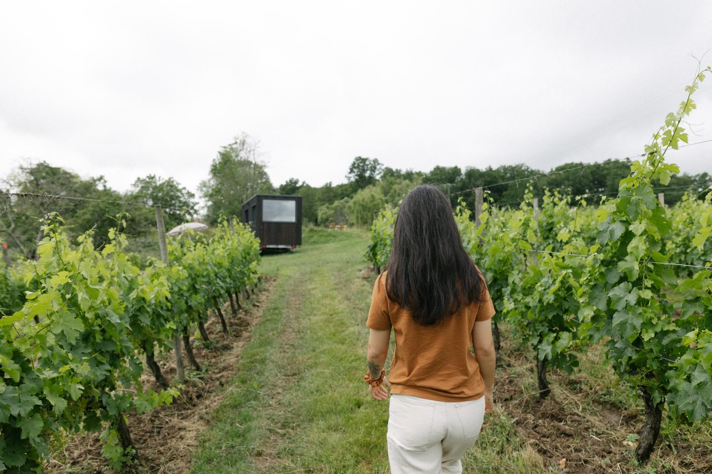 Hôte GreenGo: Parcel Tiny House - vue sur les vignes proche Bordeaux - Image 12