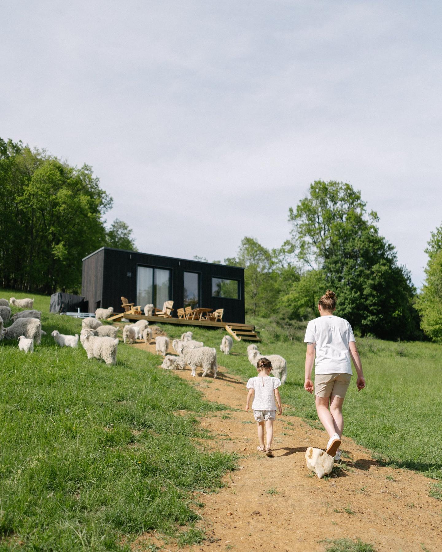 Hôte GreenGo: Parcel Tiny House - près des chèvres avec vue sur les Pyrénées