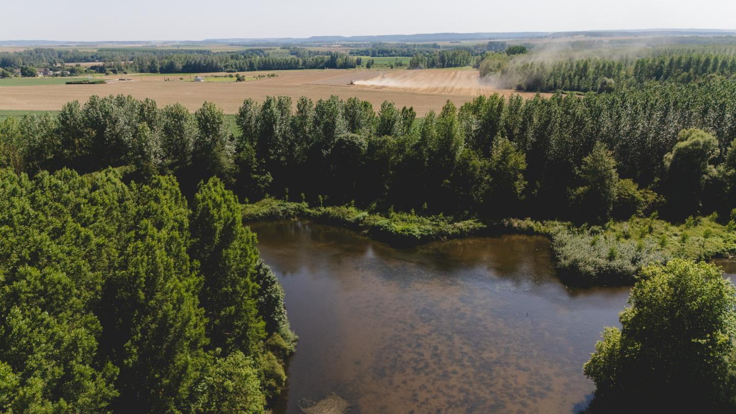 Hôte GreenGo: Parcel Tiny House - Picardie proche Lille et Paris vue lac - Image 15