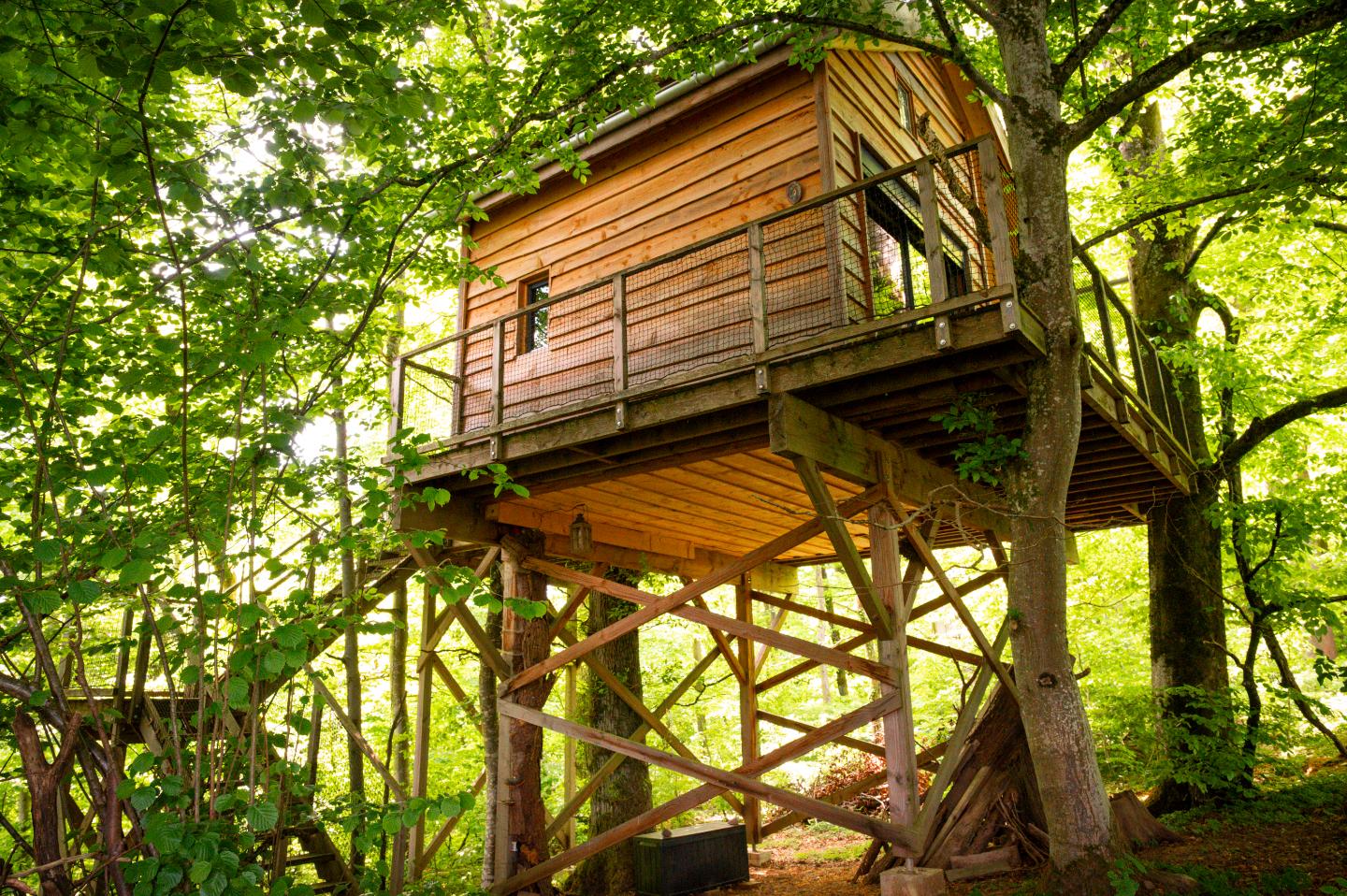 GreenGo Logement insolite Grand Est En forêt