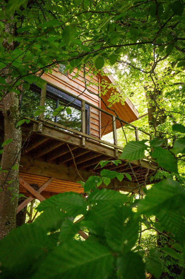 GreenGo location vacances écoresponsables