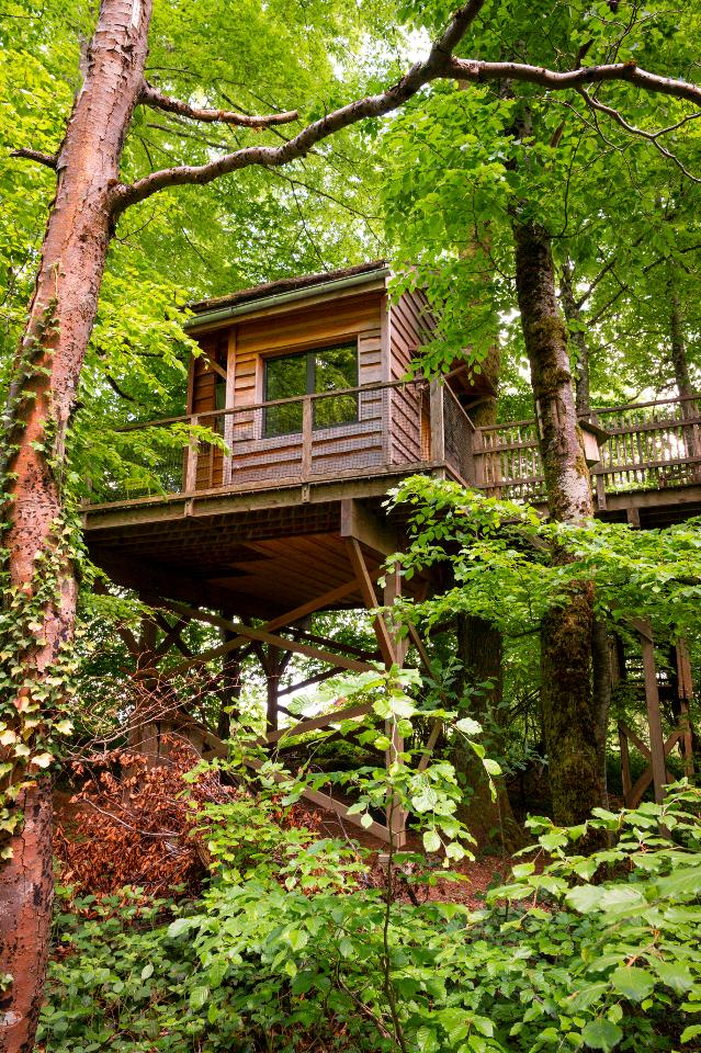 Carte cadeau GreenGo