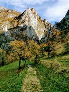 Hôte GreenGo: Bulle de nature - Image 17