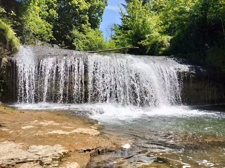  Ain En forêt