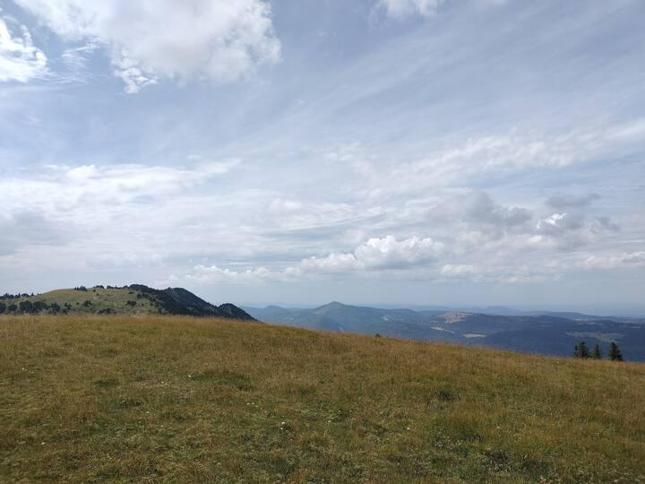 GreenGo location vacances écoresponsables