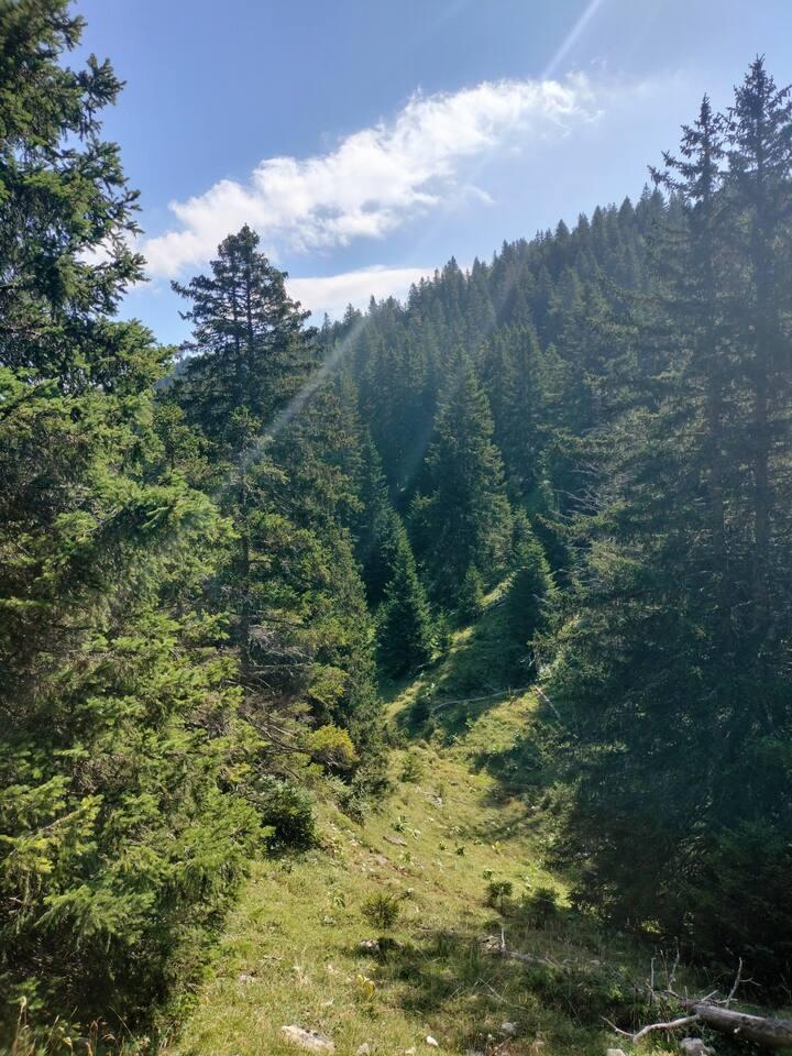 GreenGo Parenthèse au coeur de la nature