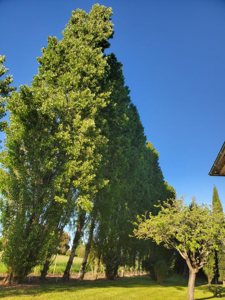 orderedImageAlt_accommodation_default