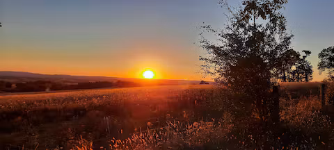 GreenGo La source et le chêne