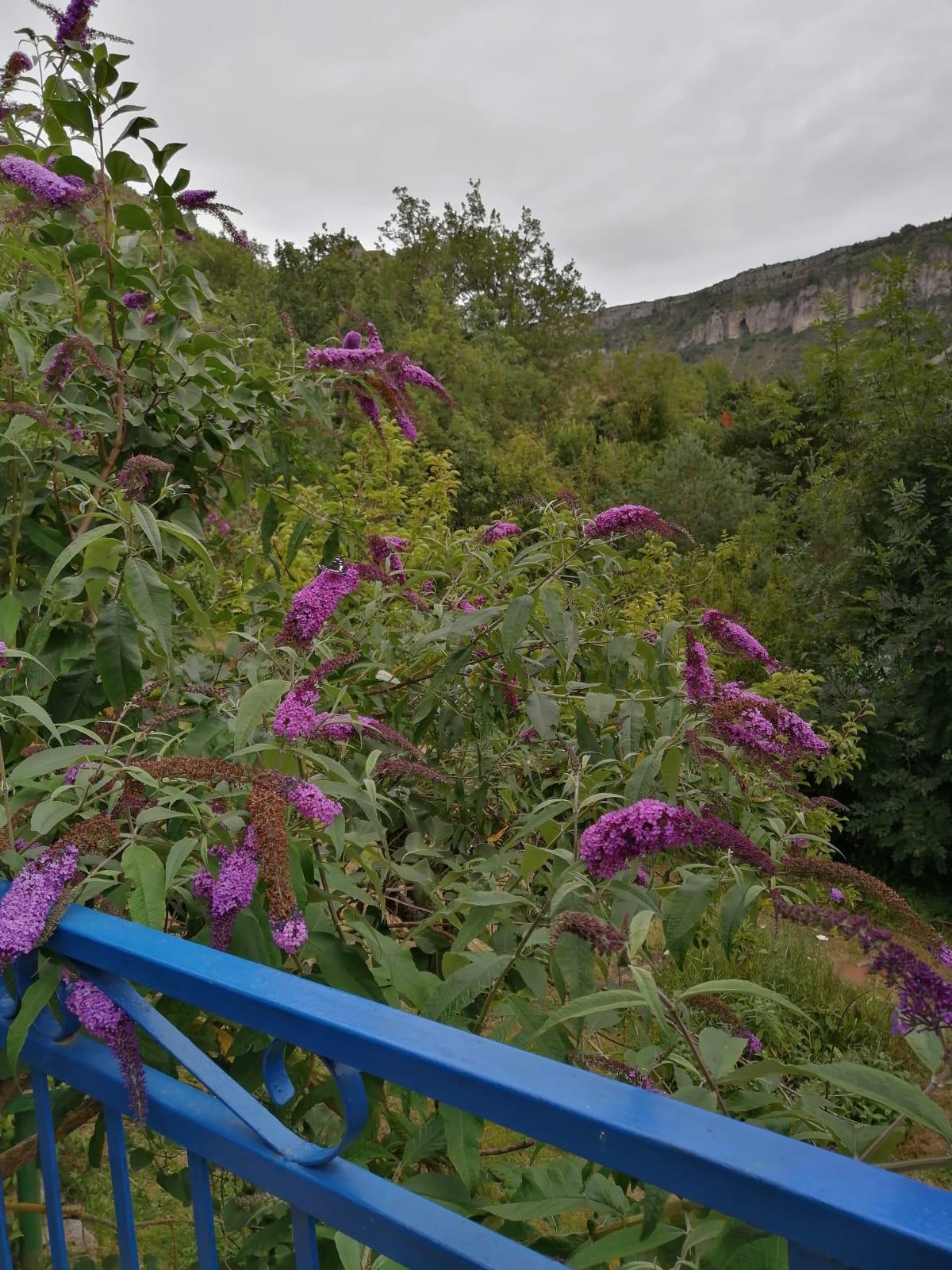 Carte cadeau GreenGo