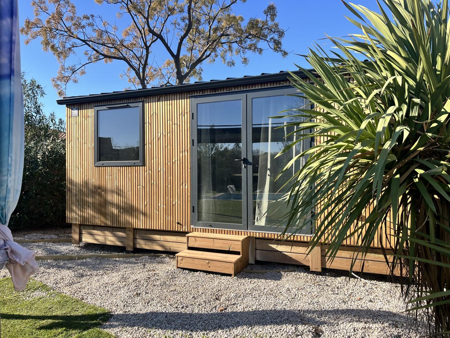 Hôte GreenGo: La tiny de la chicorée