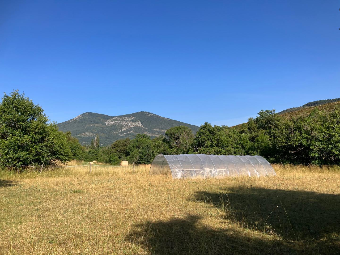 orderedImageAlt_accommodation_default