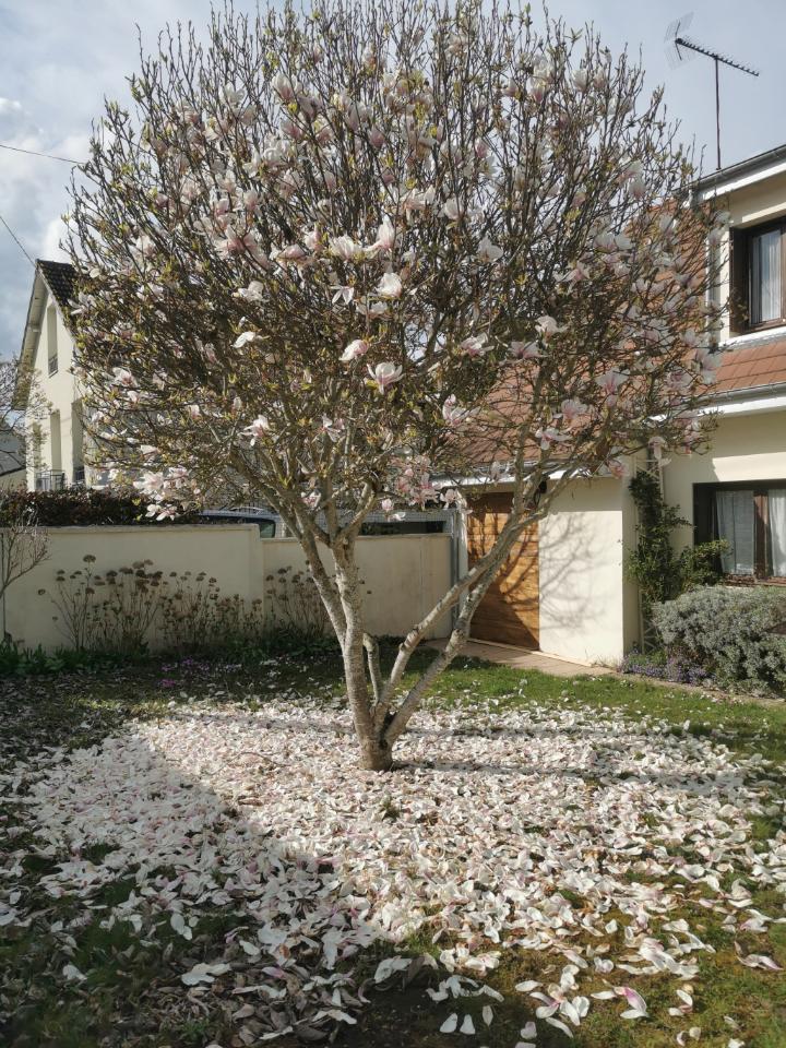 GreenGo location vacances écoresponsables