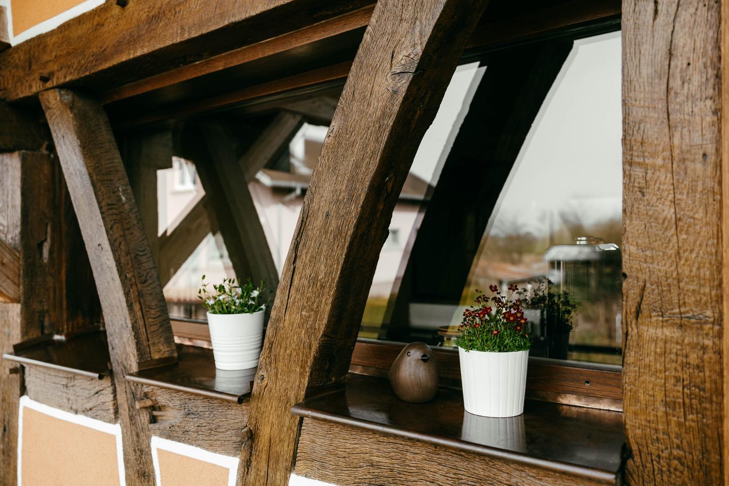  Haut-Rhin À la campagne