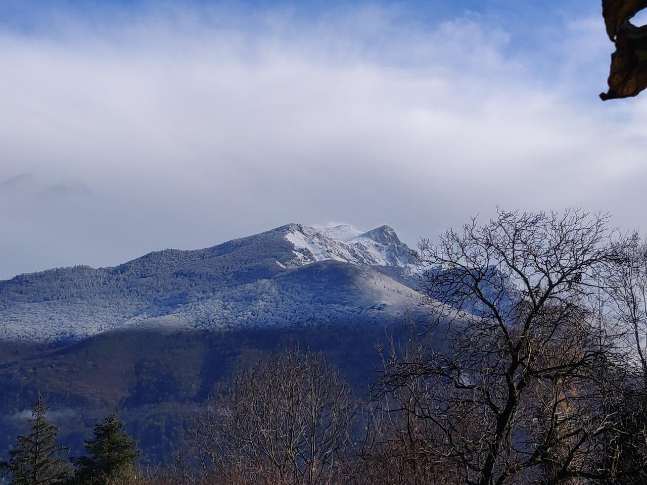 Hôte GreenGo: Les Pins Nordiques Chalet dans les Pyrénées classé 3*** - Image 21