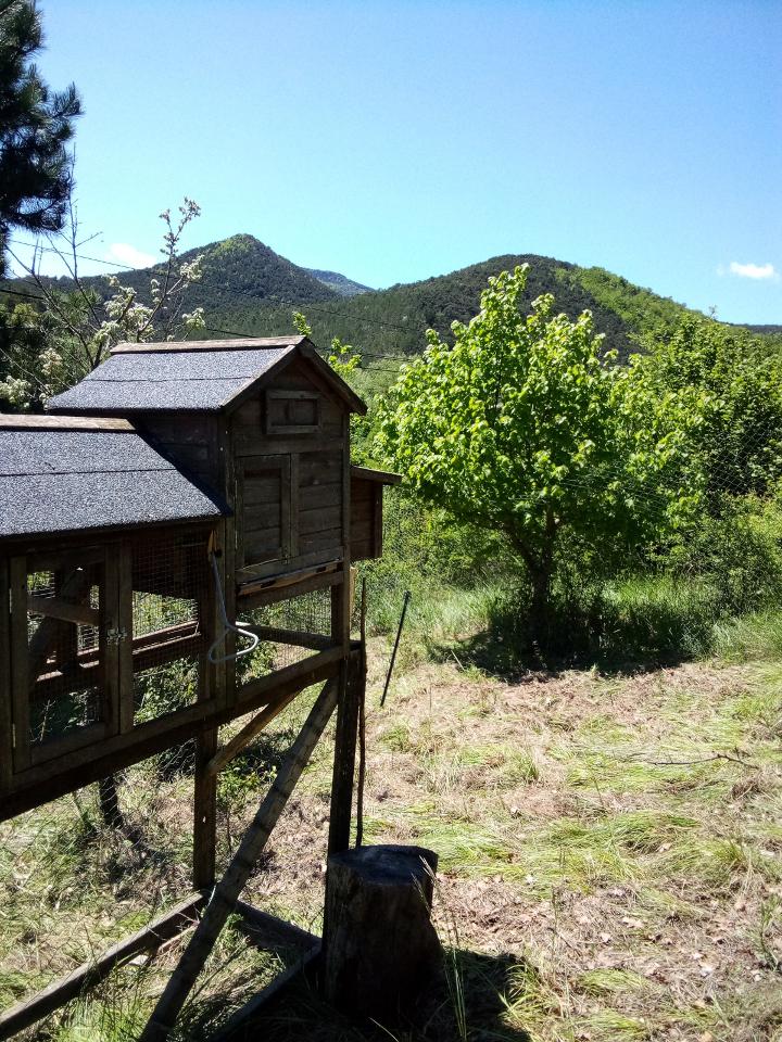 Hôte GreenGo: Ferme Des Montagnes Bleues - Chambre d'hôte avec petit déjeuner - Image 19