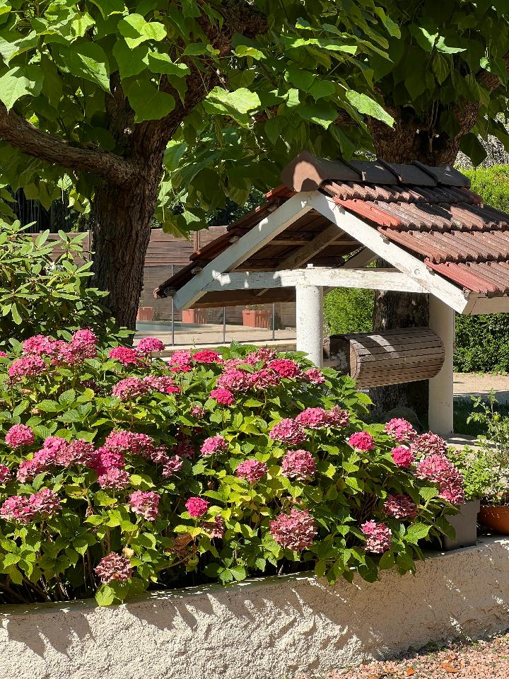 Carte cadeau GreenGo