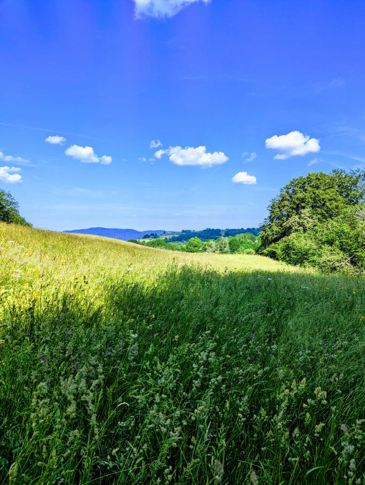 Hôte GreenGo: La Fuly d'en haut - Image 32