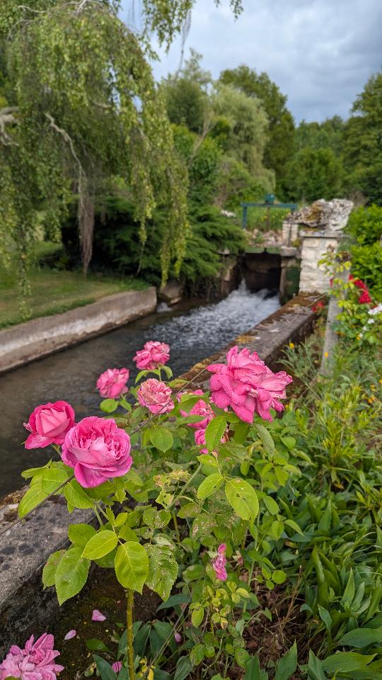 GreenGo location vacances écoresponsables