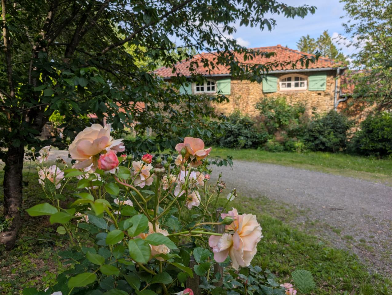 orderedImageAlt_accommodation_default