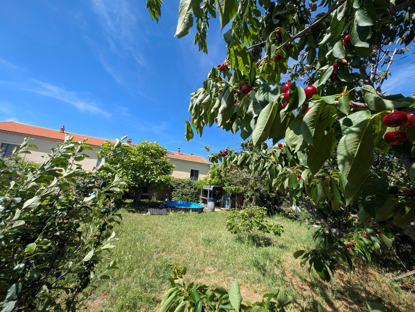 Studio indépendant Rez-de-Jardin