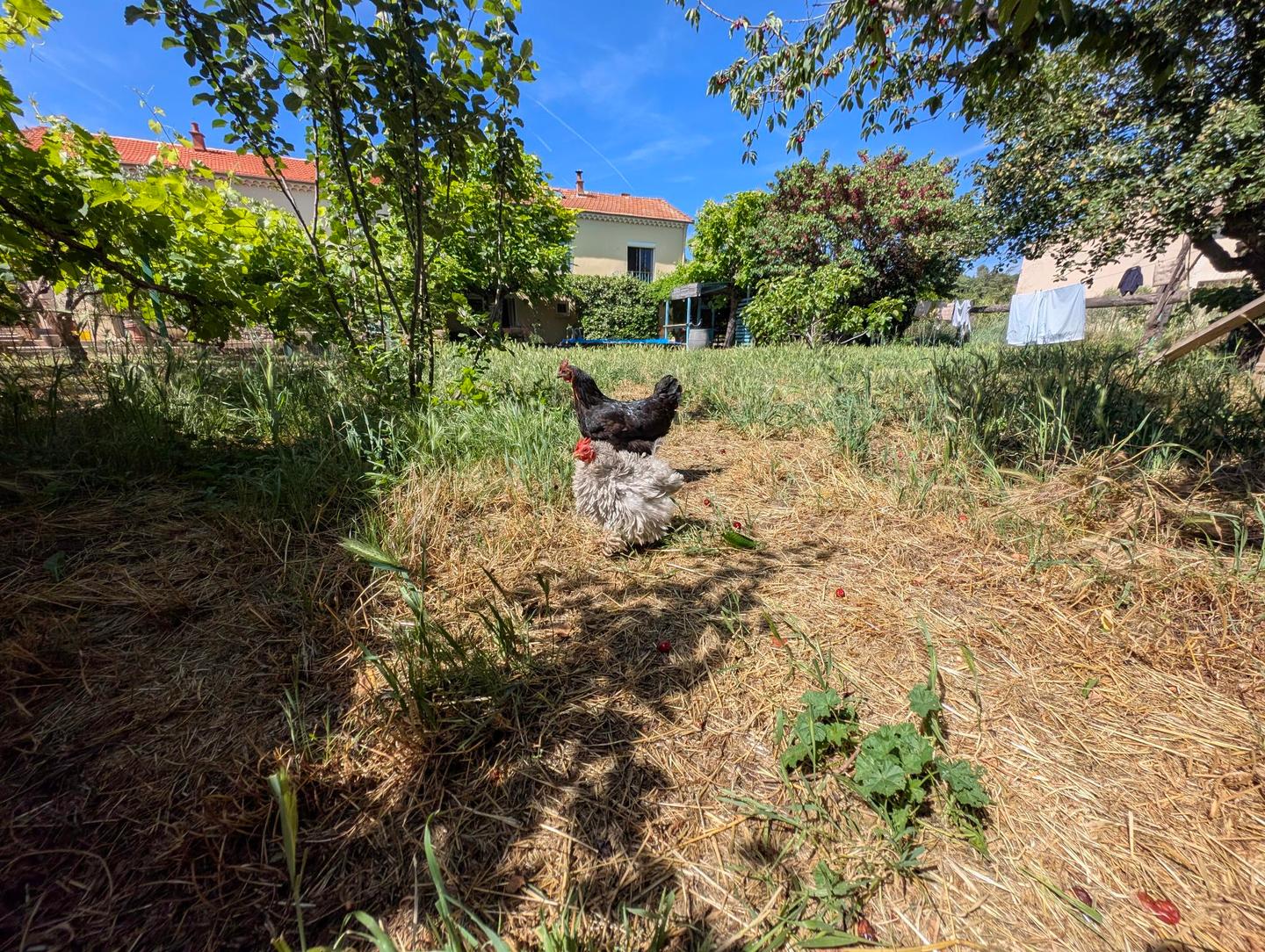 GreenGo Location Provence-Alpes-Côte d'Azur Évasion
