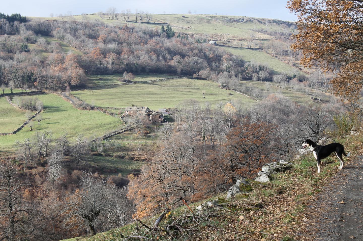 GreenGo Gîte Occitanie Évasion