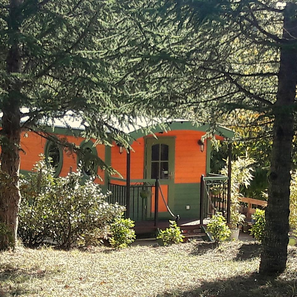 Hôte GreenGo: Natura Lodge - Image 29