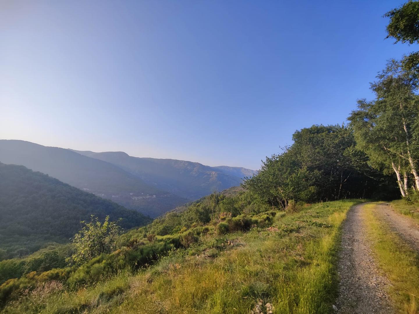 orderedImageAlt_accommodation_default