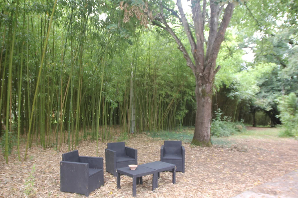 Hôte GreenGo: Le gîte des bambous - Image 10