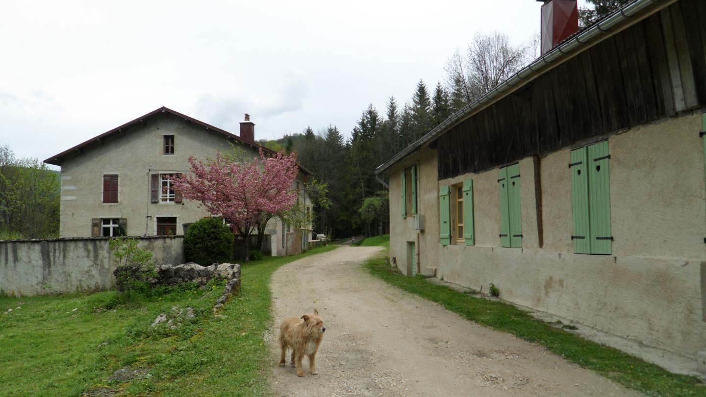 GreenGo Gite de très Bayard
