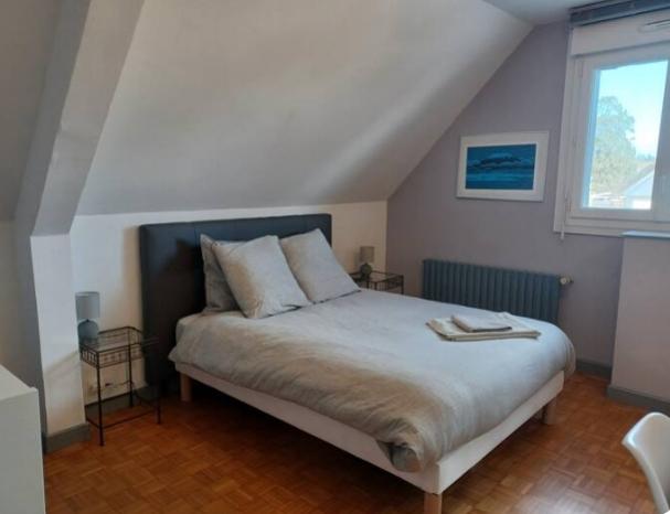  Côtes-d'Armor Sportif