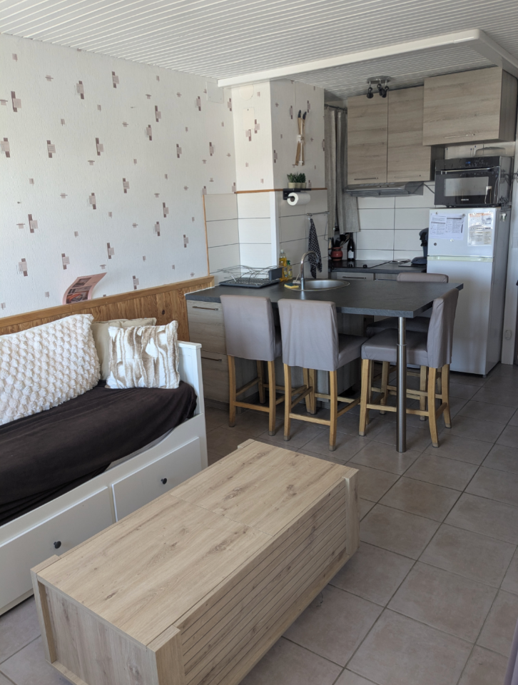 GreenGo Appartement les Angles Pied des Pistes