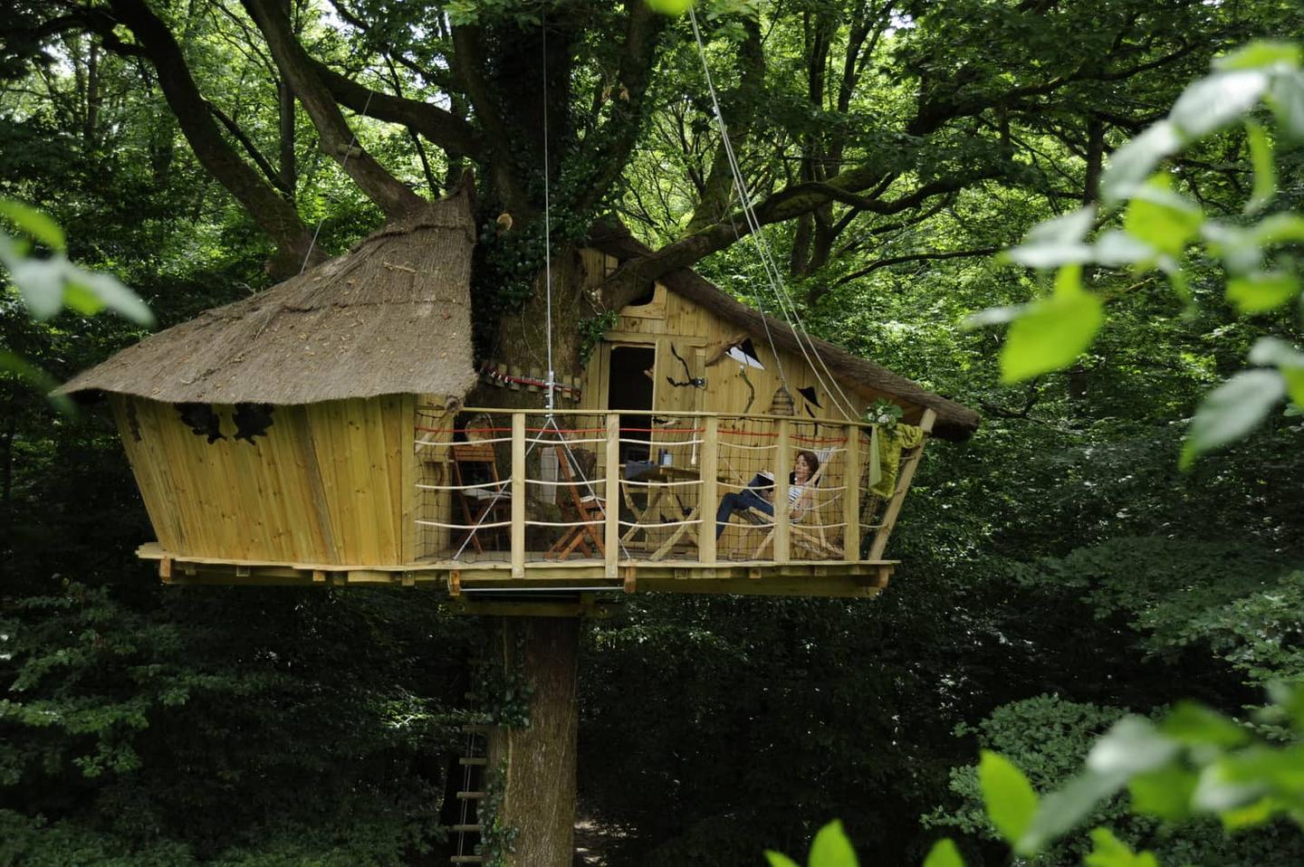 orderedImageAlt_accommodation_default