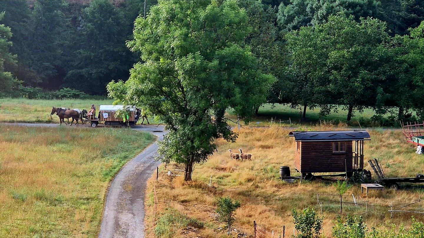 Hôte GreenGo: La Roulotte de Pacalier