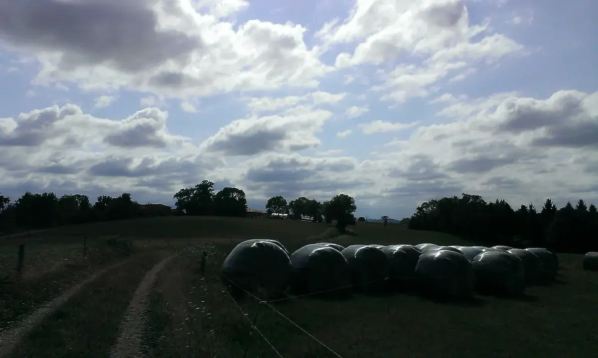 Hôte GreenGo: Ferme de Bellevue - Image 15