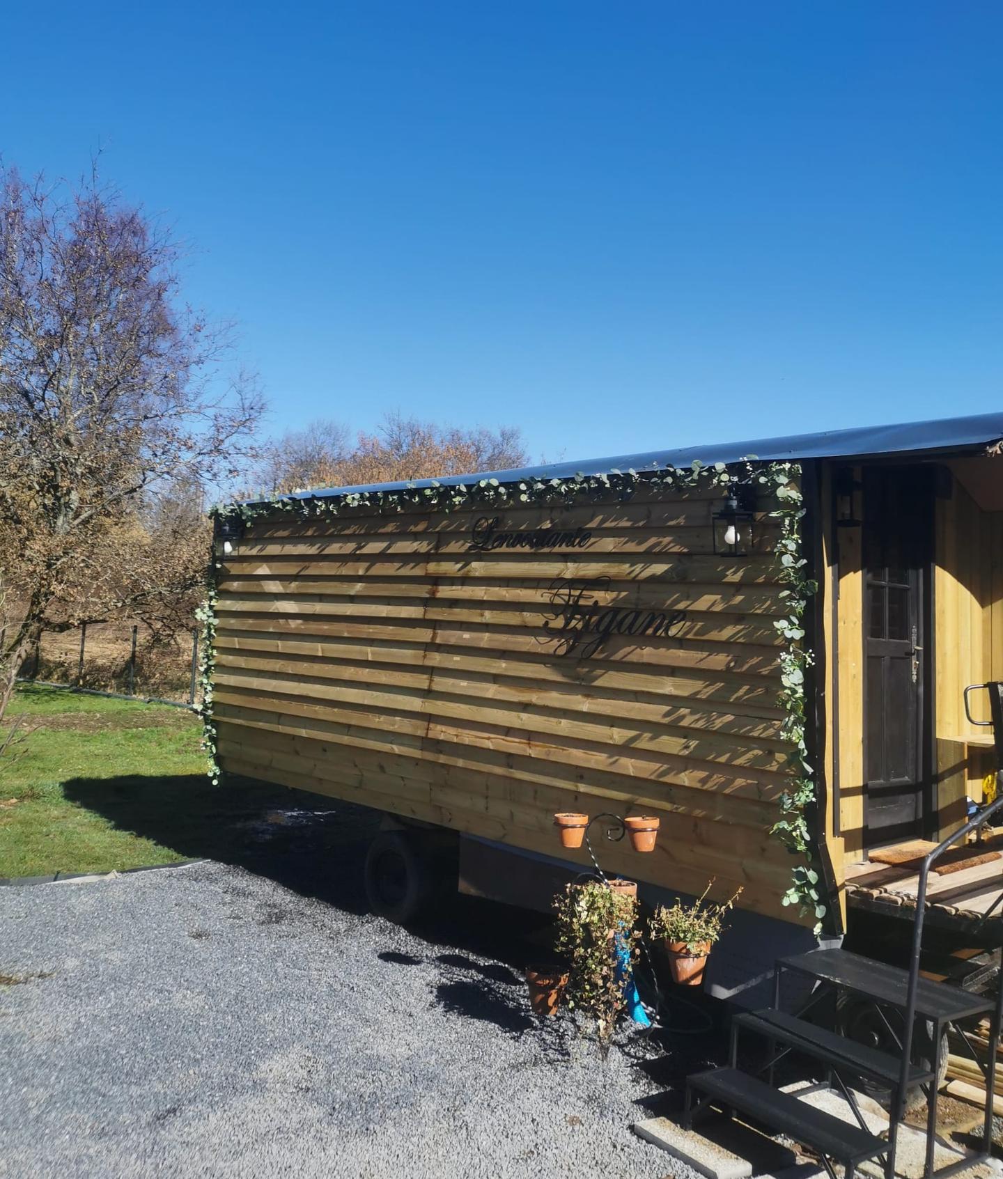 Hôte GreenGo: L'envoûtante Tzigane