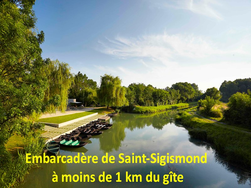 Hôte GreenGo: Gîte L’Etchurie - havre de paix dans le Marais Poitevin - Vendée - Image 22