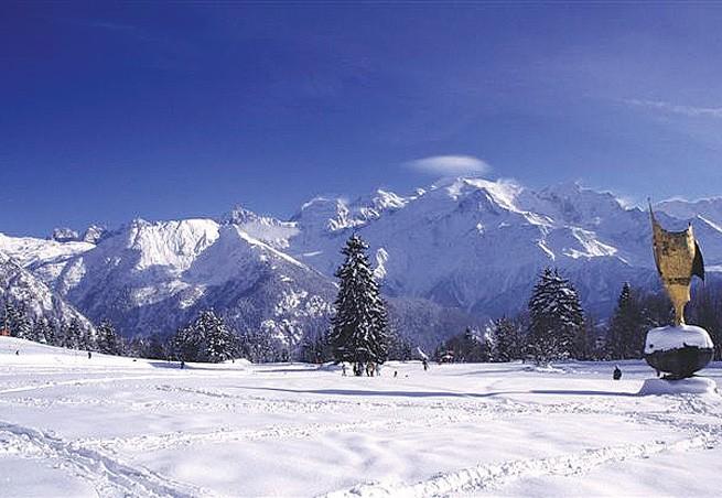 Logement GreenGo: Chalet 10 personnes face Mont Blanc avec bain nordique - Image 17