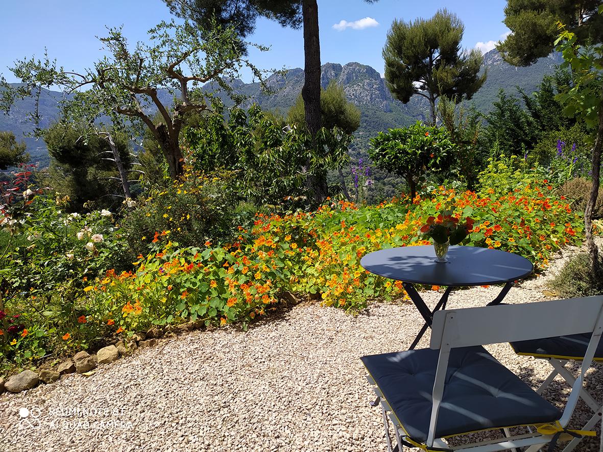 Logement GreenGo: Studio bleu avec petite terrasse, vue jardin et montagne, climatisation