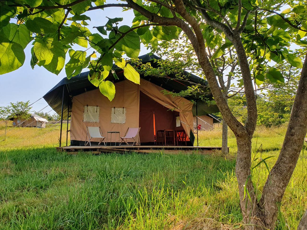 Logement GreenGo: Tente safari 4 pers, retour vers la nature, piscine, spa