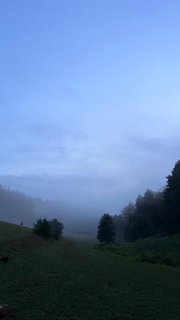 Hôte GreenGo: Au fond des bois . Se ressourcer en pleine forêt dans les Vosges Du Nord . - Image 27