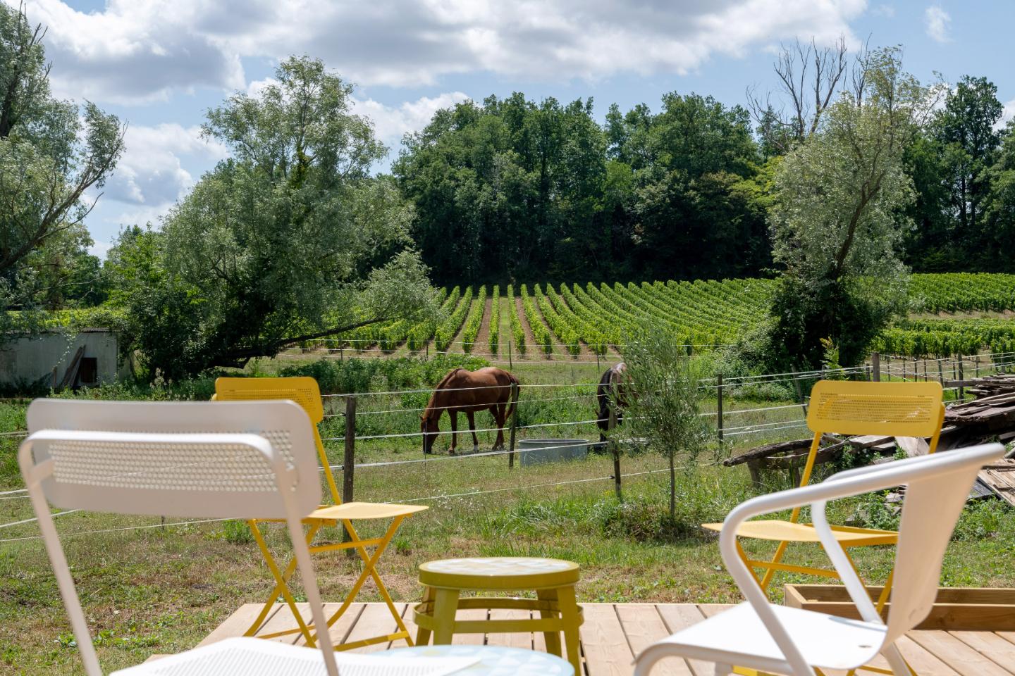 Location Gironde À la campagne