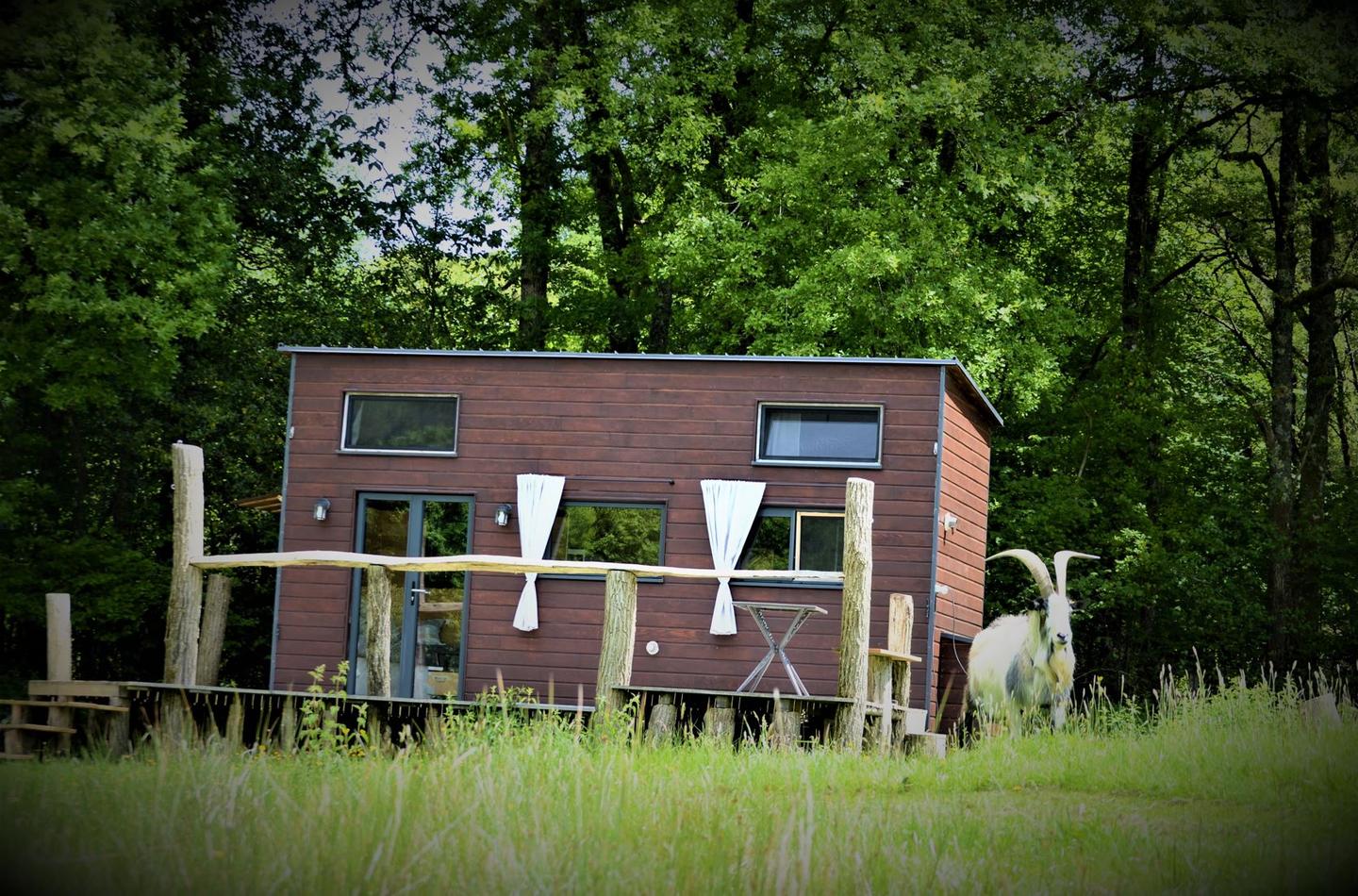 Hôte GreenGo: La Tiny House - Image 4