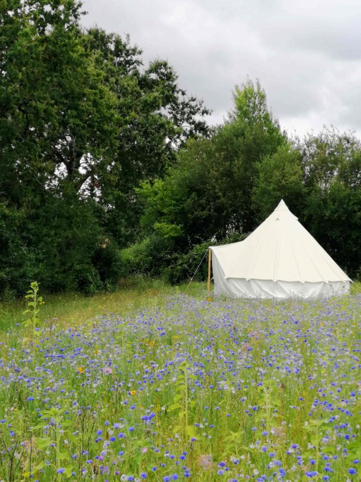 orderedImageAlt_accommodation_default