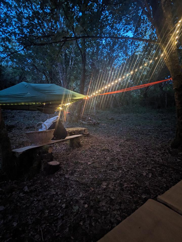 Hôte GreenGo: Tent'ez les étoiles en forêt - Image 8
