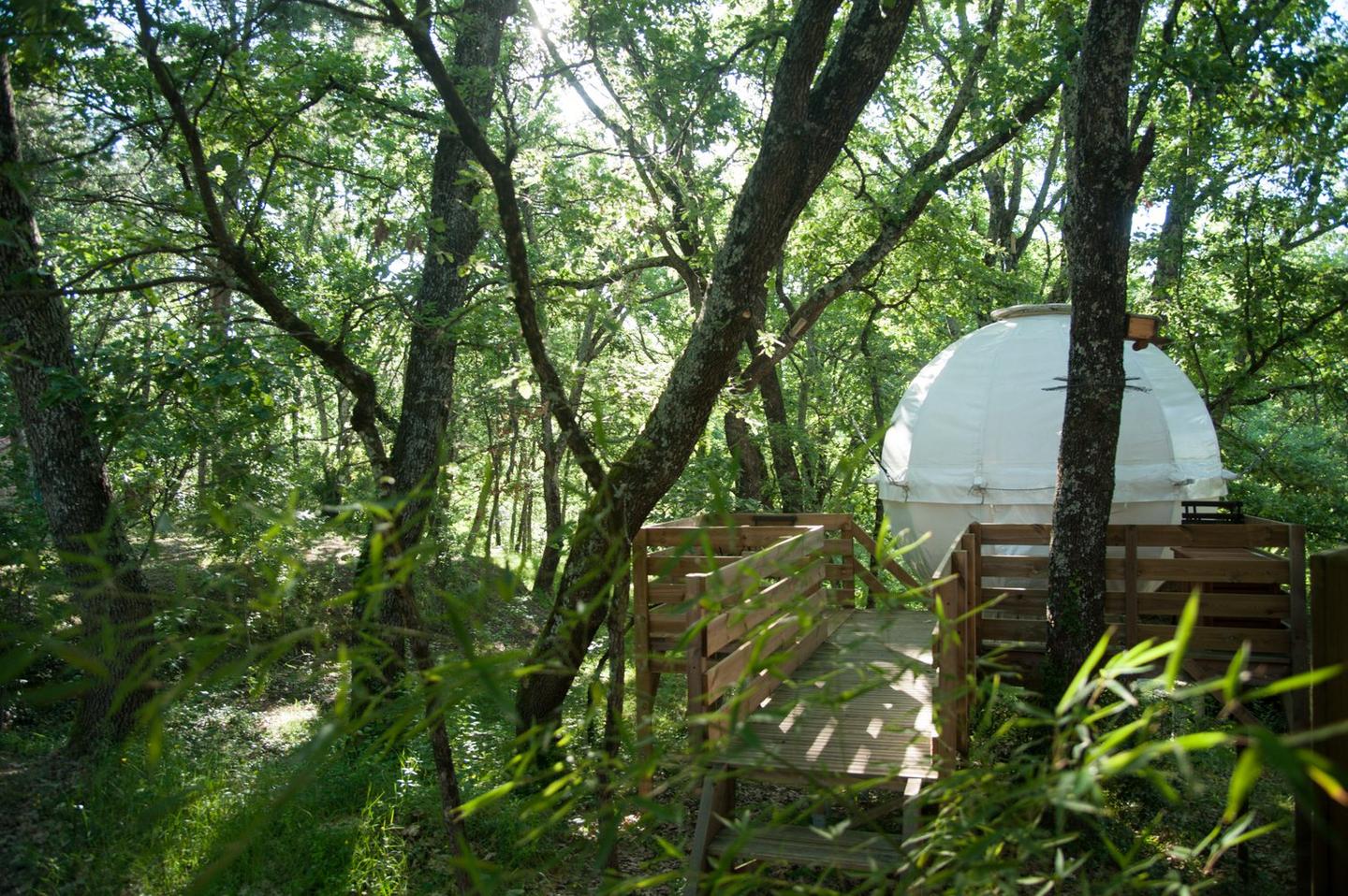 Hôte GreenGo: Natura Lodge - Image 40