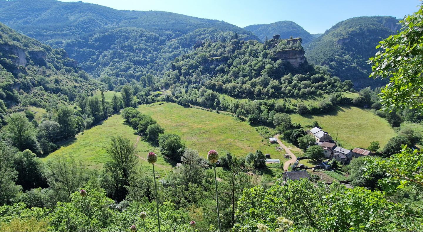 GreenGo Gîte Occitanie Évasion