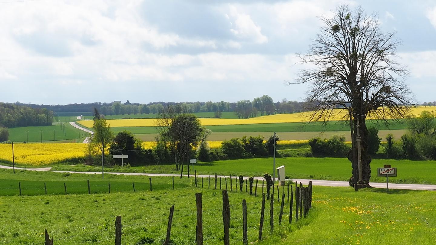 GreenGo La parenthèse enchantée